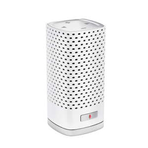Smart Speaker