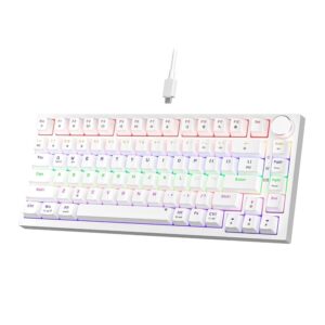 Mechanical Keyboard Wired